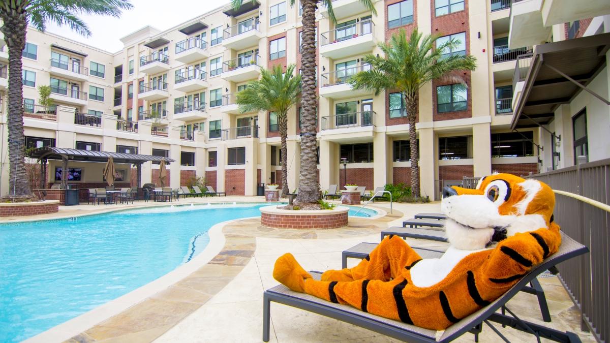 LeeRoy lounging by the City Vista pool